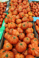 Obraz premium tomates côtelées