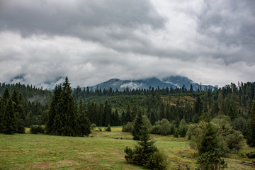 Fototapeta na wymiar Foggy and cloudy woods and mountain of Orava in Slovak republic