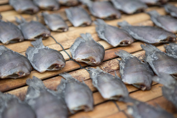 Close up Dried fish on bamboo mat