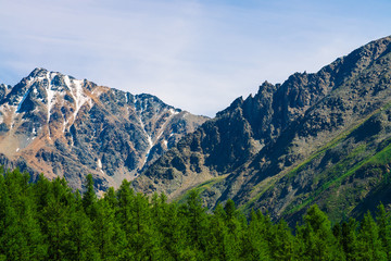 Obraz premium Snowy mountain top behind wooded hill under blue clear sky. Rocky ridge above coniferous forest. Atmospheric minimalistic landscape of majestic nature.