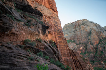 Summit to Angels Landing - Zion National Park