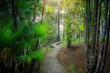 Tropical Balata garden in Martinique.