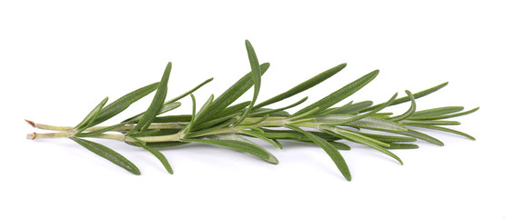 Fototapeta premium Sprig of fresh rosemary isolated on white background. Rosemary branch