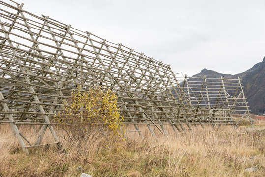norwegian typical fish drying building in svolvaer to produce dryfish, norway, europe, lofots, lofoten, torrfisk