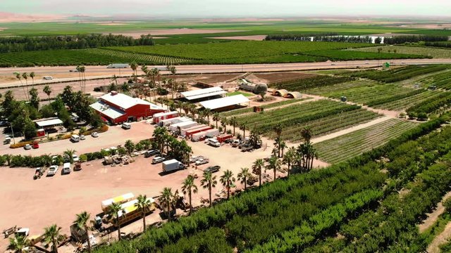 Farming. Agricultural farming land growing fruit and vegetable crops. Aerial drone shot over fields in the California countryside. Rows of plants from above. 
