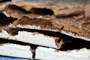 Damage wood surface by termite with space for write wording, waste of money to repair or renovate the house and cause of infection disease