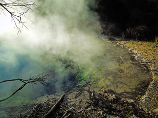Naklejka na ściany i meble Image of steamy volcanic hot spring pool, near Taupo in New Zealand. Showing hot water and surrounding trees.
