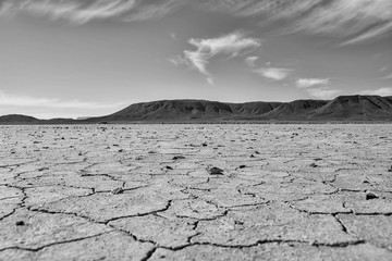 Cracked Earth