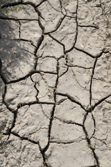 ausgetrockneter boden