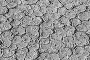 Cracked Earth