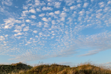 Looking up at clouds over marram grass covered sand dunes, in Formby, near Liverpool