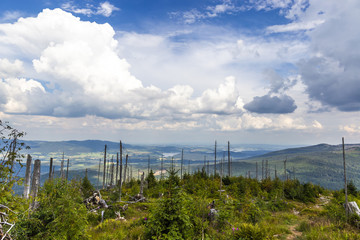 View to Dreisessel, Trojmezi and Trojmezna hills with forests destroyed by bark beetle infestation (calamity) in Sumava mountains.