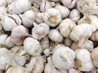 Fresh garlic on market table closeup photo.