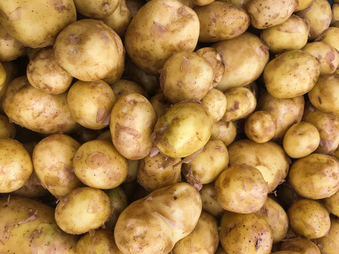 Fresh organic young potatoes sold on market