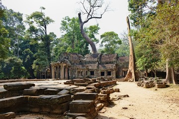 Angkor,Cambodia, is one of the most important archaeological sites of Southeast Asia. It extends over approximately 400 square kilometres and consists of scores of temples