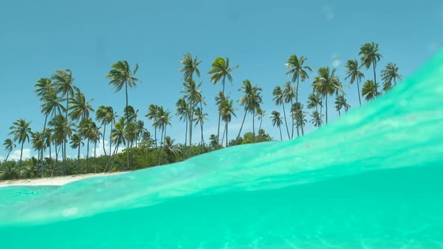SLOW MOTION, HALF UNDERWATER: Crystal clear ocean water flows over camera filming a spectacular empty tropical beach on a perfect summer day in French Polynesia. Breathtaking turquoise sea and palms.