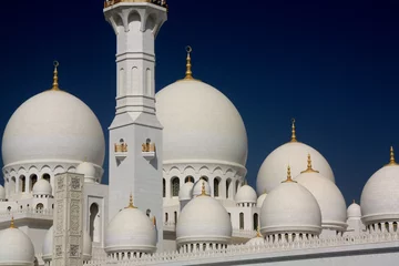Foto op Plexiglas Mosquée d'Abu Dhabi © bat104