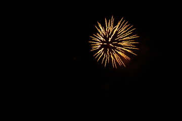 Yellow firework isolated against dark sky
