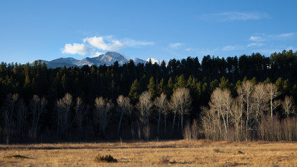 &copy; Chris Reilmann Photo 2018