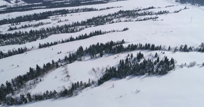 Aerial view: Landscape. Winter Nature. Flight over the winter forest
