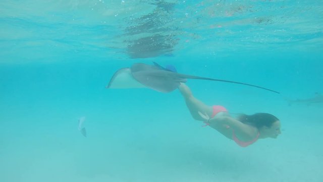 SLOW MOTION, UNDERWATER: Happy young woman on holiday dives in the emerald ocean with sea ray and little shark. Cheerful female tourist swimming in the turquoise sea with friendly tropical wildlife.