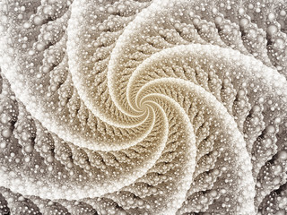 Shell structure and spirals, digitally generated image