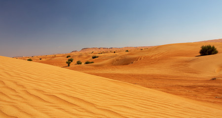 Fototapeta na wymiar Desert in United Arab Emirates.