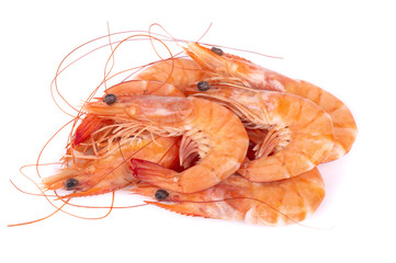 Red cooked tiger shrimps isolated on white background