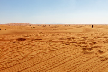 Desert in United Arab Emirates.