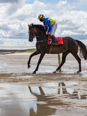 Reflection in a water pool of race horse and jockey galloping on the beach