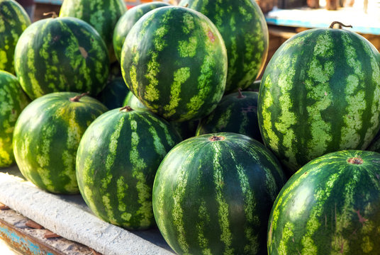 Many big sweet green watermelons sell on market.