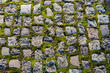 Stone footpath with moss, close up image