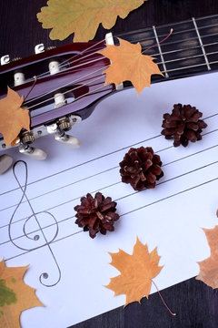 Little pine cones on the music staff. Autumn composition