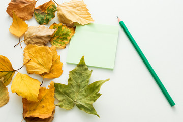 yellow foliage scattered on the table,  pensil, withered leaf,  green notebook for records, autumn background with copy space, for advertising, top view