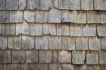 Abstract close-up view of classic weathered and rustic cedar shingle siding.