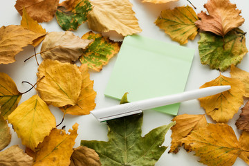 yellow foliage scattered on the table, white pensil, withered leaf,  green notebook for records, autumn background with copy space, for advertising, top view