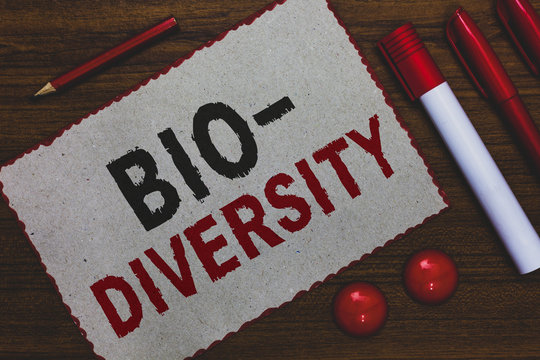 Conceptual Hand Writing Showing Bio Diversity. Business Photo Showcasing Variety Of Life Organisms Marine Fauna Ecosystem Habitat White Paper Red Borders Markers Pencils Wooden Background