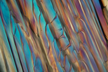 Frozen beer under a microscope, white Wheat beer.