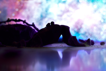 Atardecer de otro mundo © Óscar