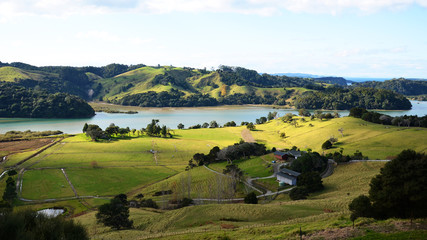 Naklejka premium Typical coastal landscape from New Zealand
