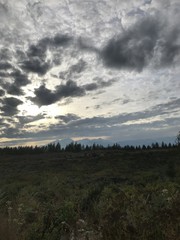 Obraz premium Outside