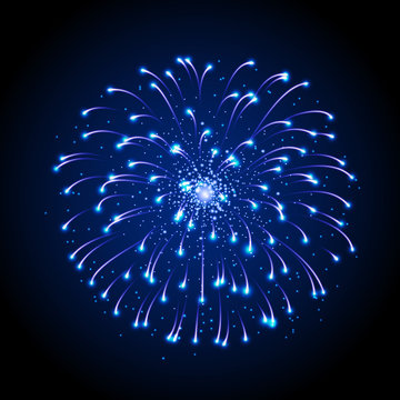 Vector holiday festival blue firework. Independence day