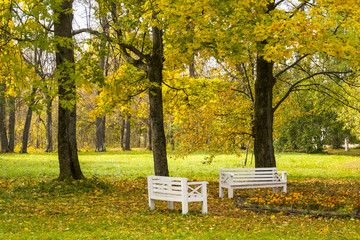benches in autumn park