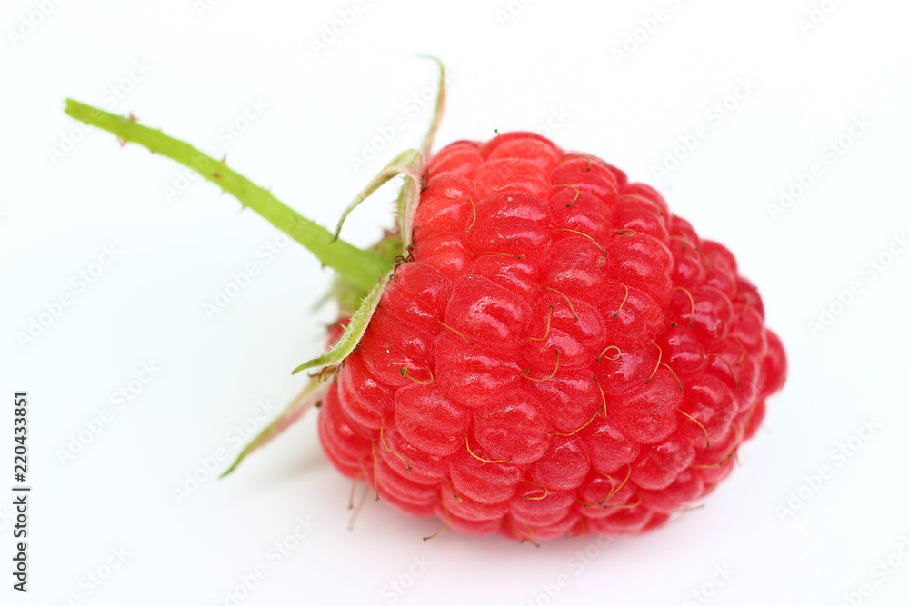 Poster one raspberry close-up on a white background