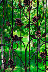 Details, structure and ornaments of forged iron gate. Decorative ornamen with roses, made from metal