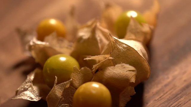 Closeup of husk cherries in and out of their husks rotating.