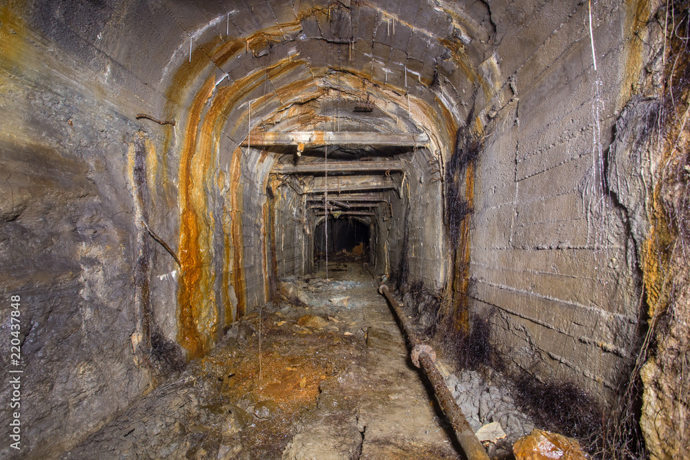 Wall mural underground abandoned gold iron ore mine shaft tunnel gallery passage with timbering wooden