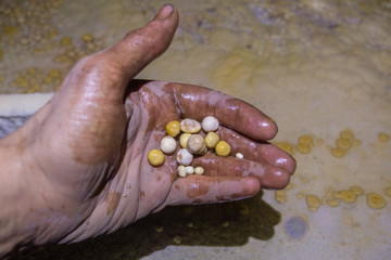 calcite raw mineral cave pearl in hand 