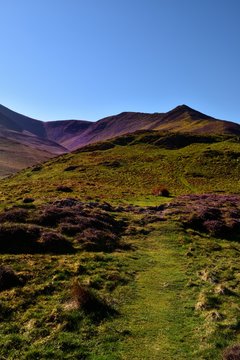 Purple heather on 'the edge'