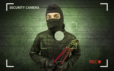 Caught burglar by house camera in action.